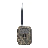 Camere de vânătoare