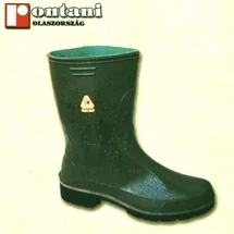 Cizme de cauziuc Farm