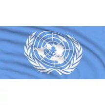 Drapel Organizația Națiunilor Unite