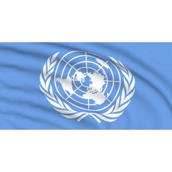 Drapel Organizația Națiunilor Unite